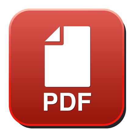 pdf icon 2