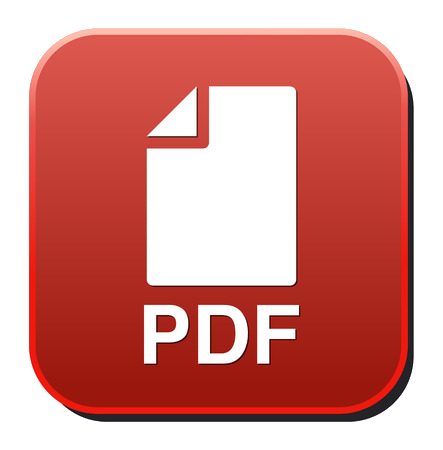 pdf icon 3